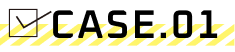 case.01