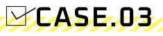 case.03