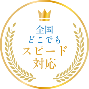 実績